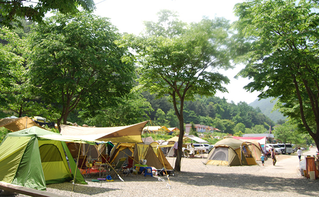 지지밸리유명산장오토캠핑장