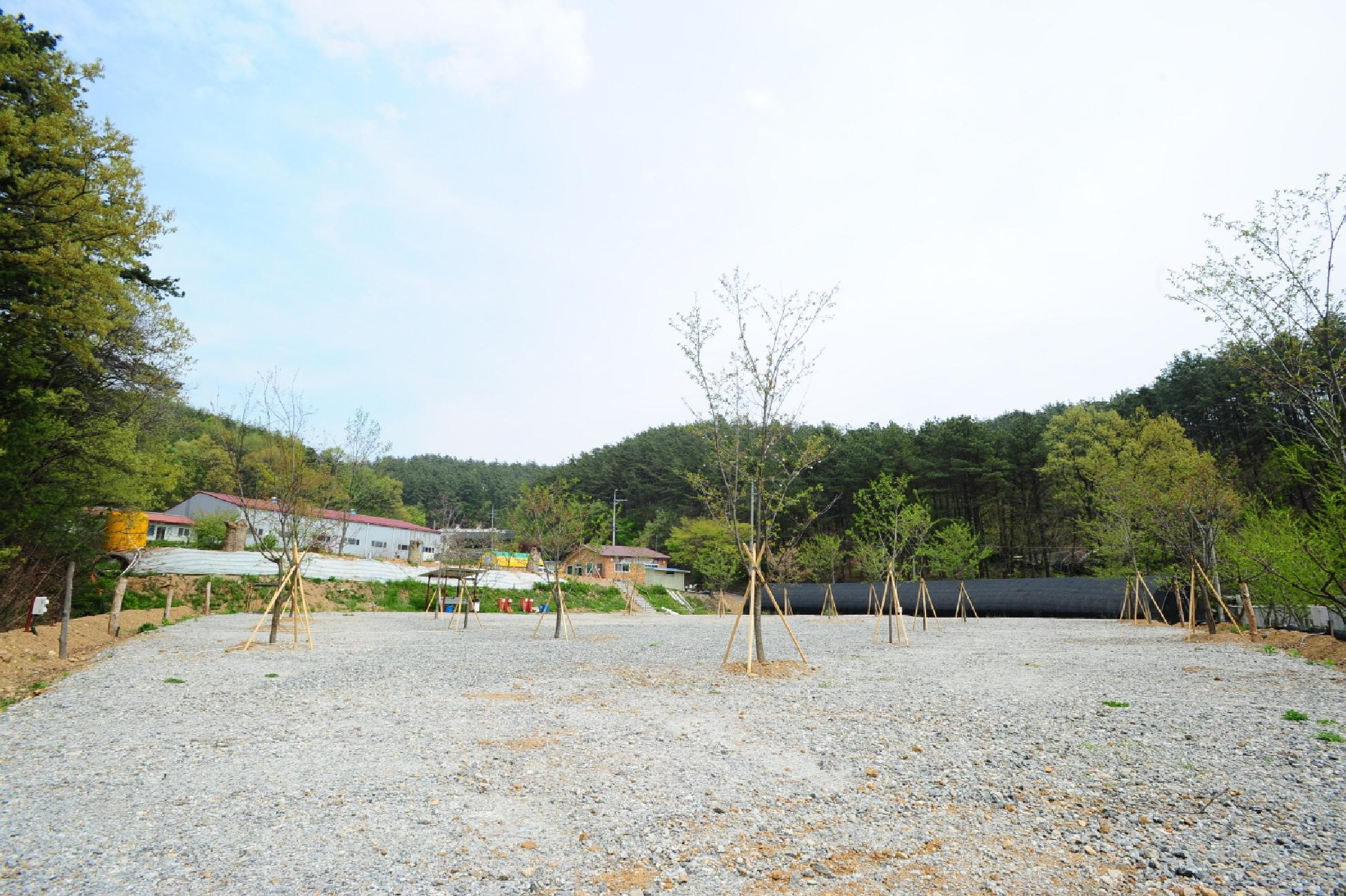 산수골오토캠핑장