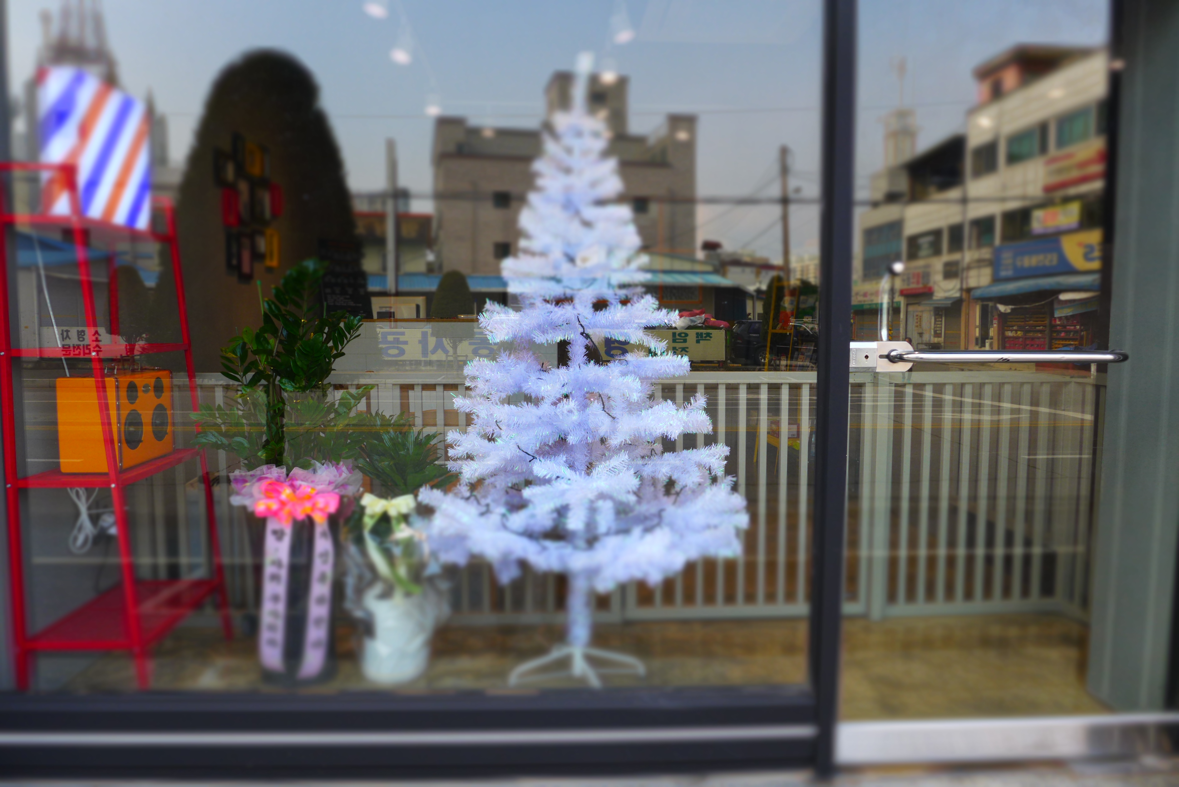 바버독 대표 이미지