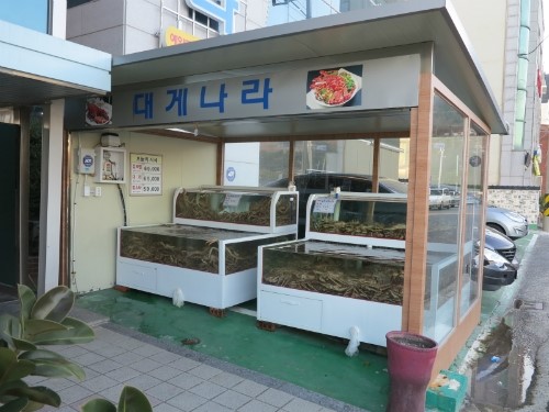 대게나라