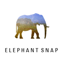 엘리펀트스냅 대표 이미지