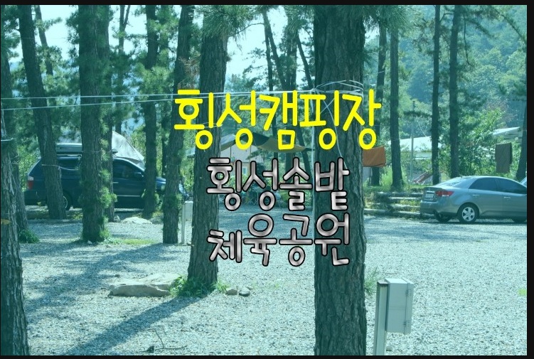 사진 4