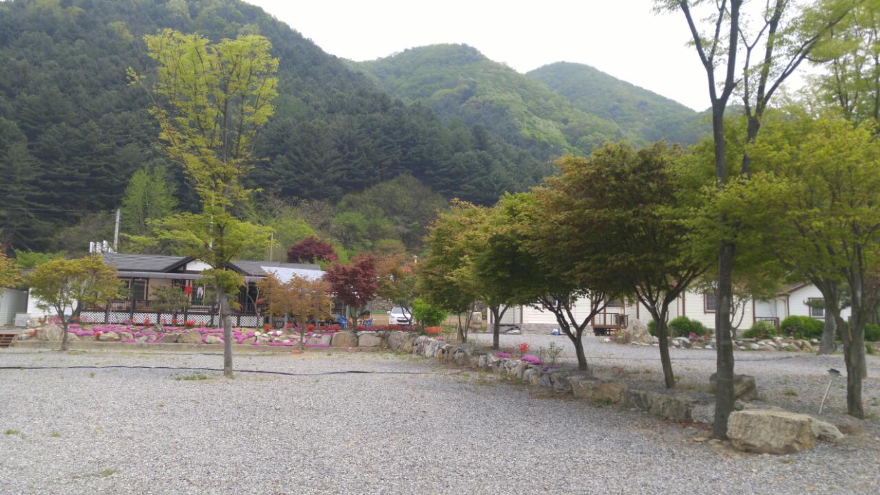 캠핑장 사진