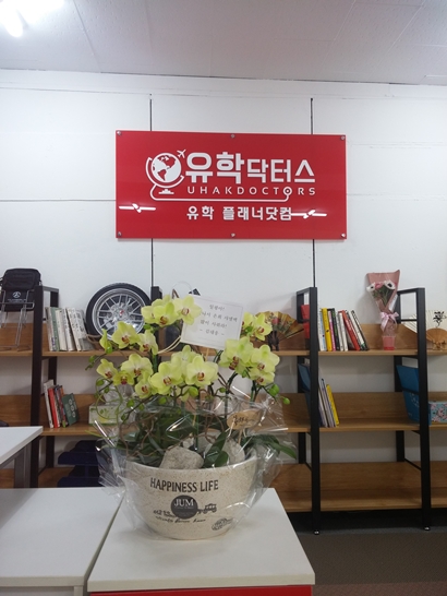 유학닥터스