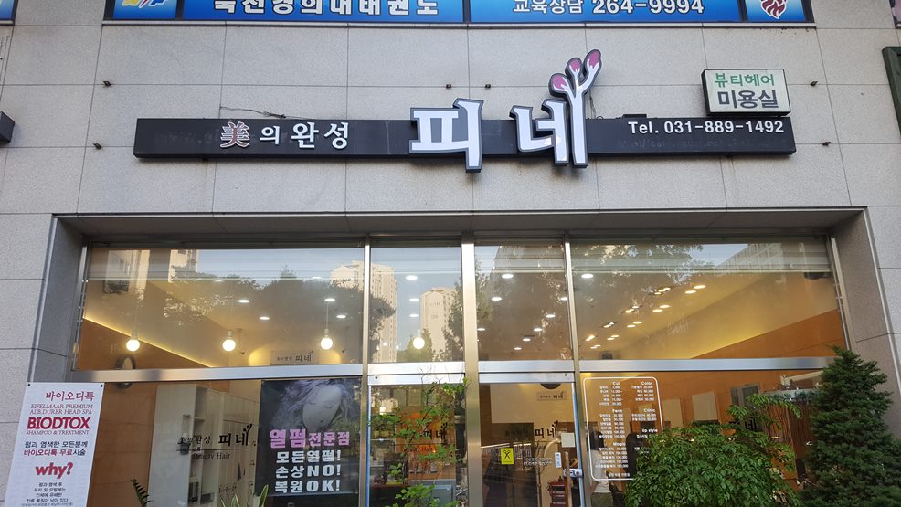 미의완성 피네