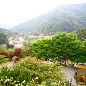 브라보캠핑장