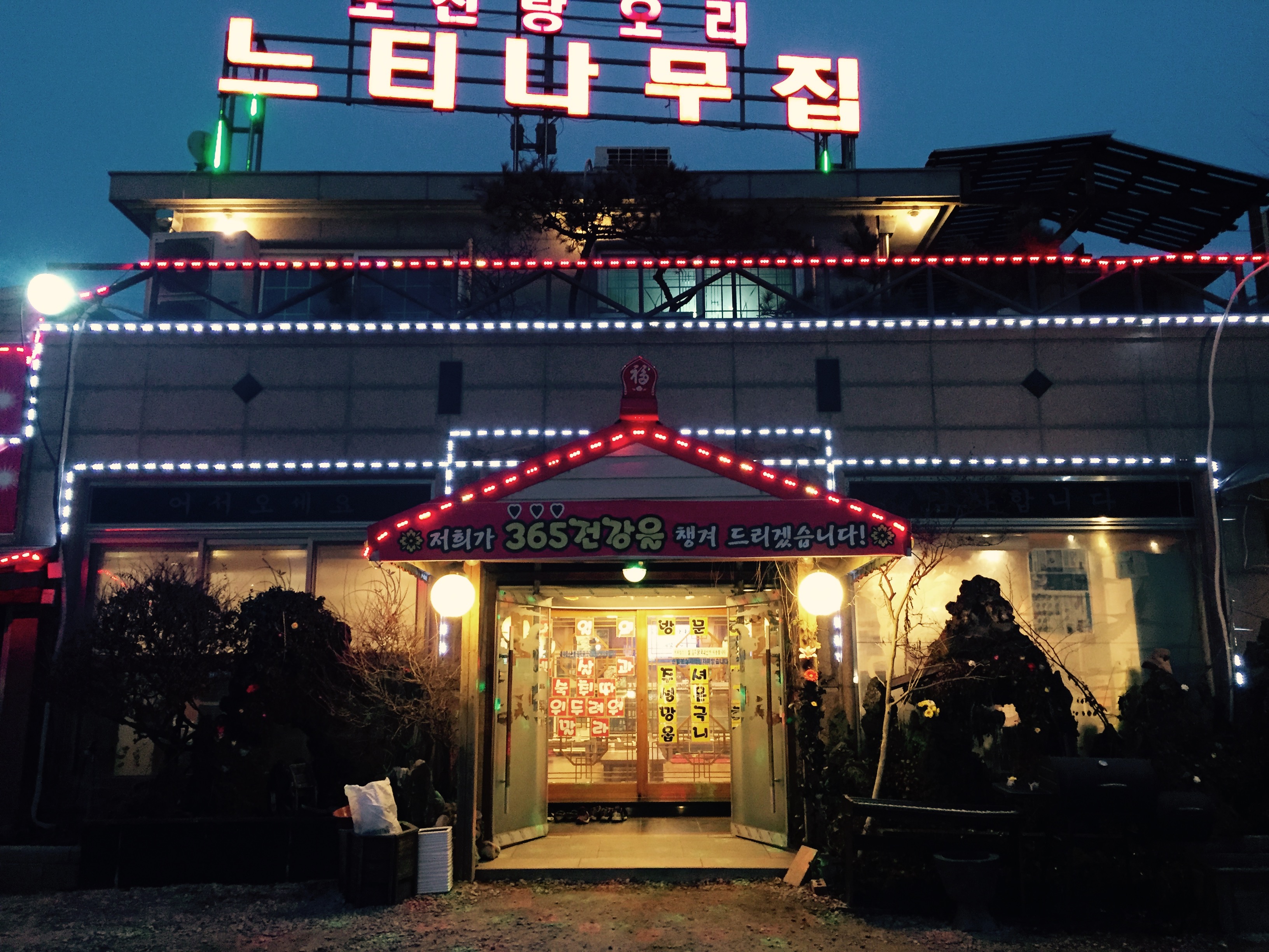 느티나무집