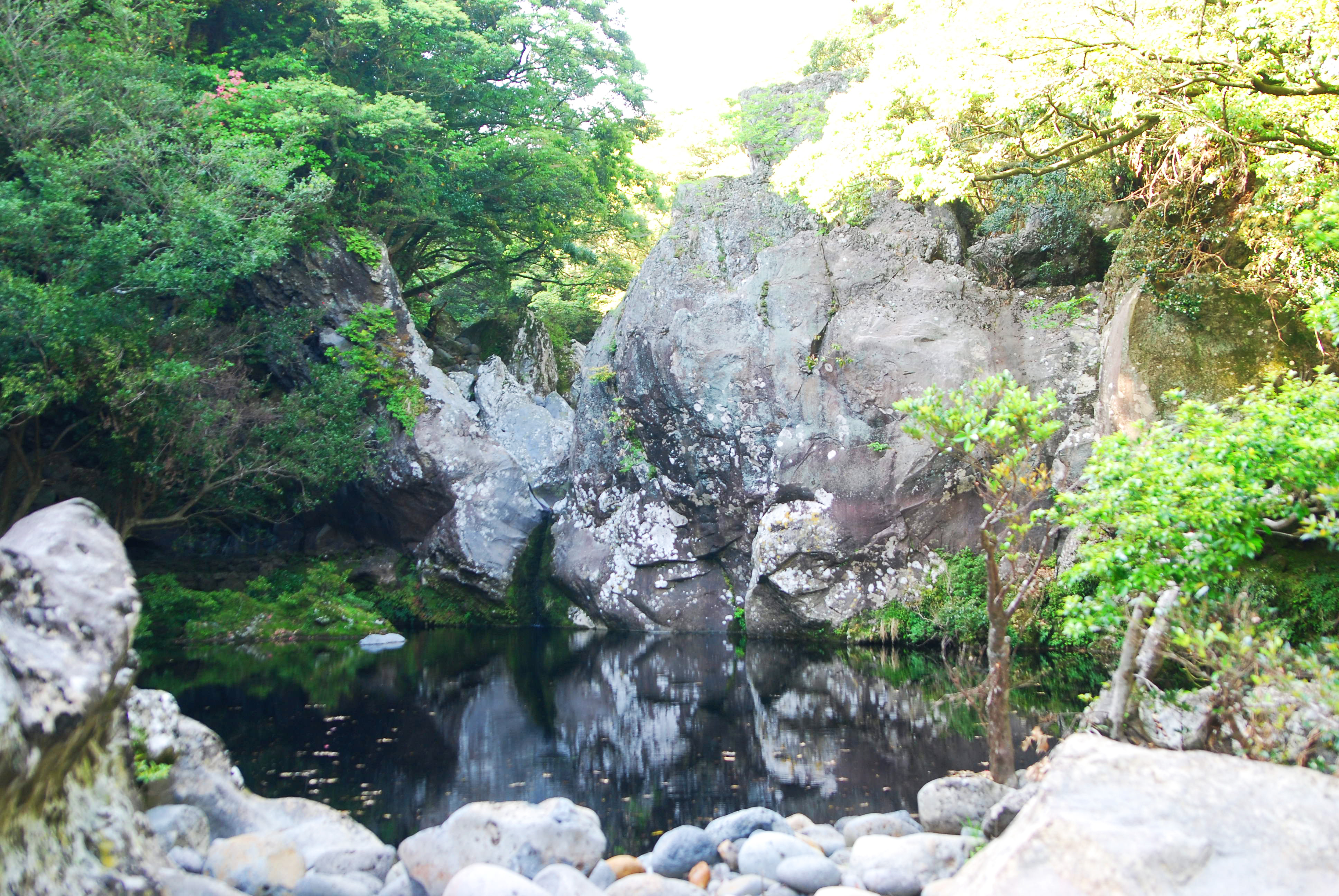 산을품은펜션