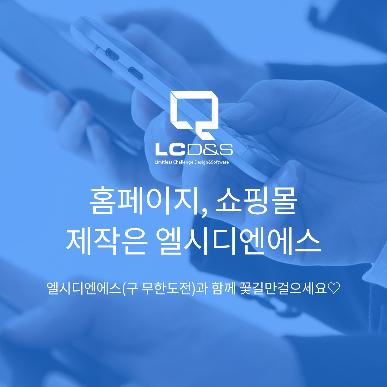 엘시디엔에스
