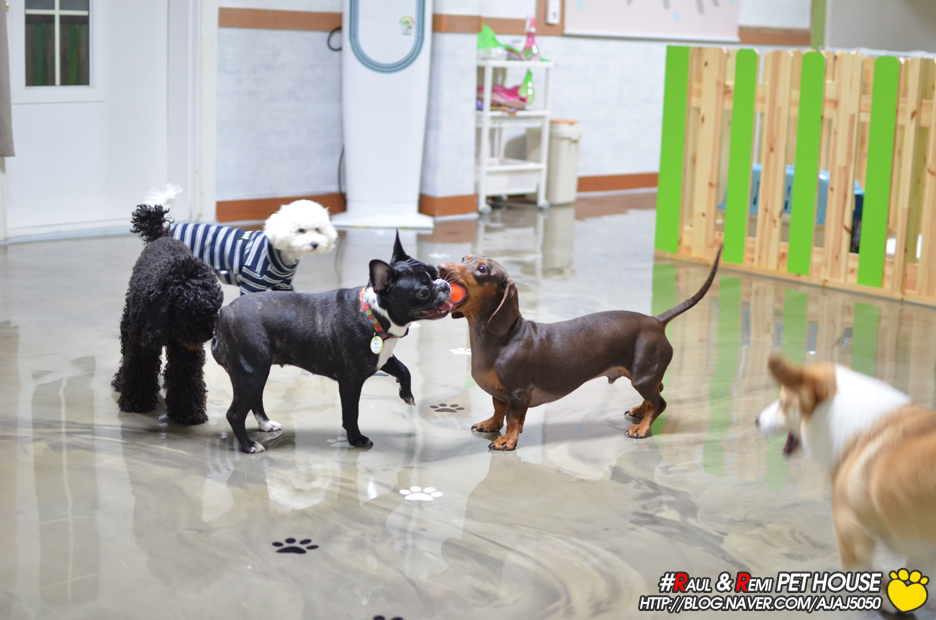 주변 가볼만한 곳