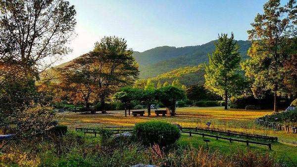 서운동산