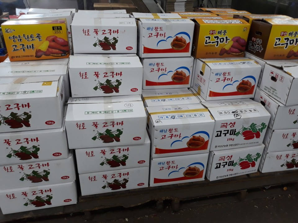 다나와푸드