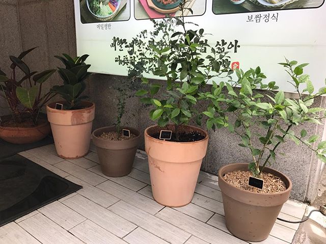 하단만족