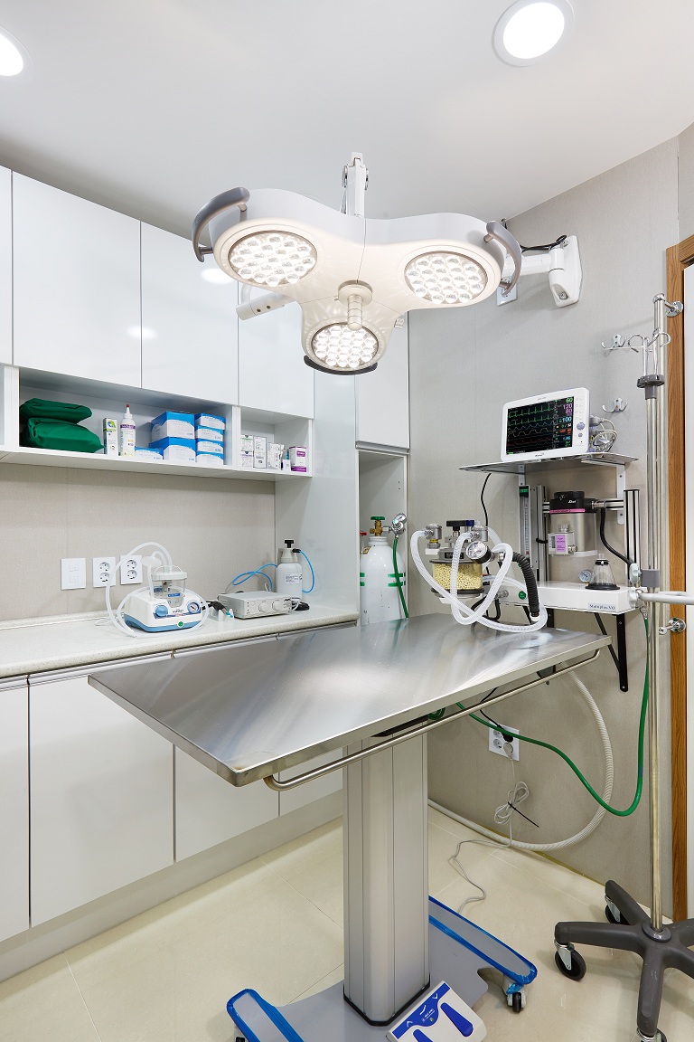 경희궁 바른 동물병원 대표 이미지