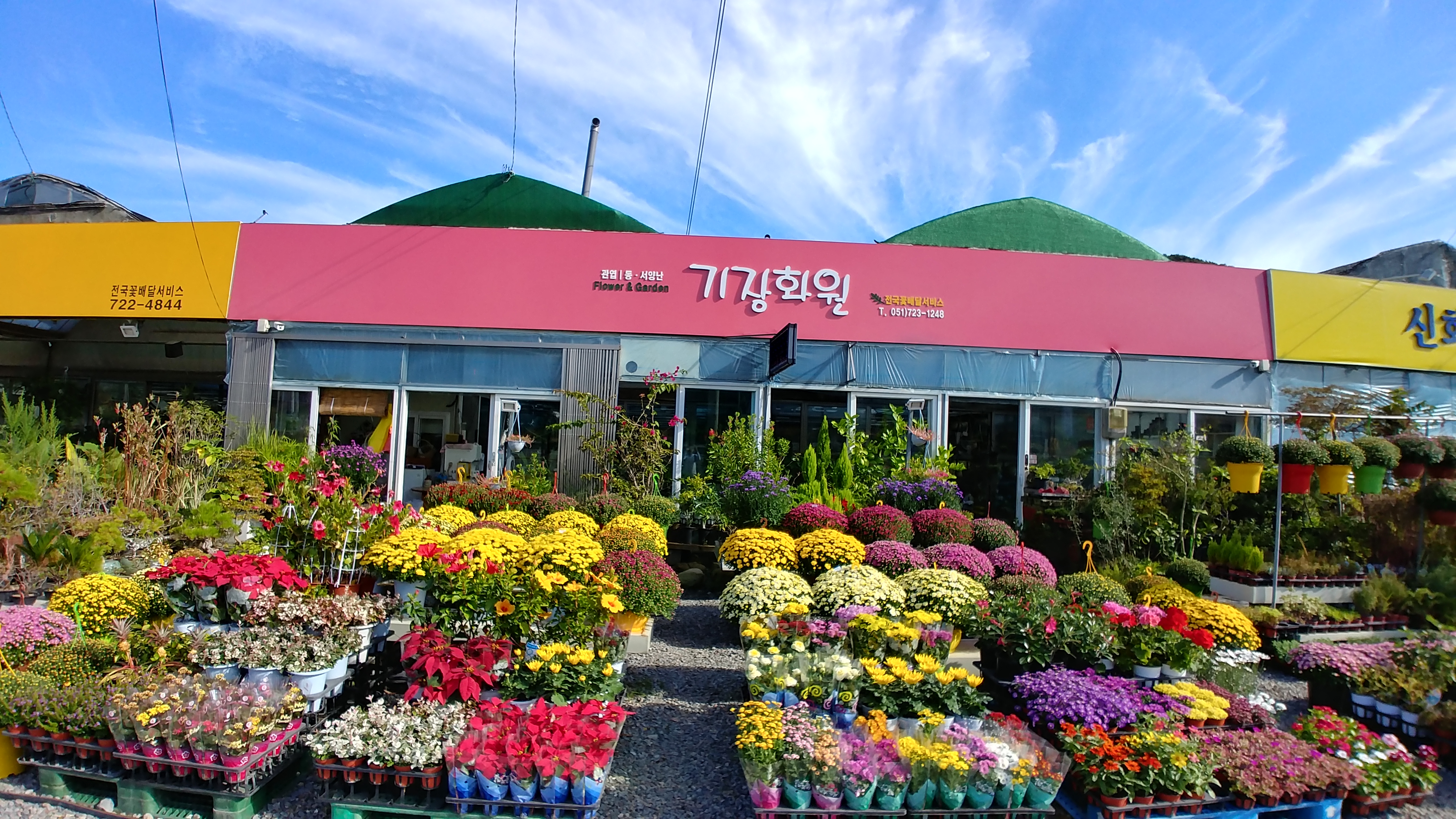 기장화원