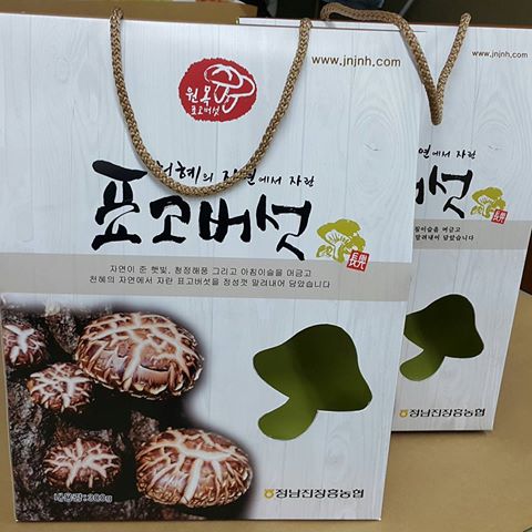 더담티씨