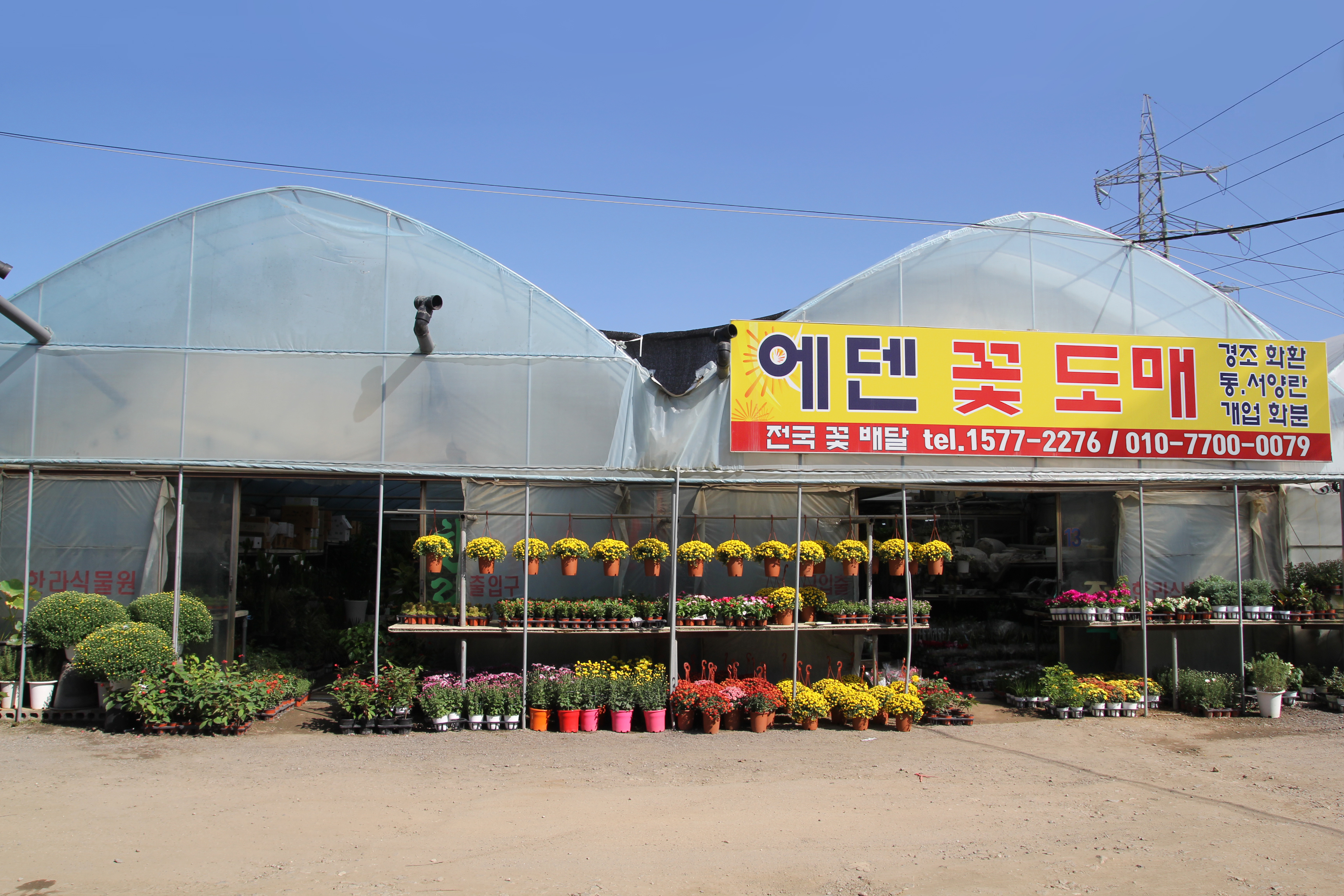 에덴 꽃도매 서서울화훼유통
