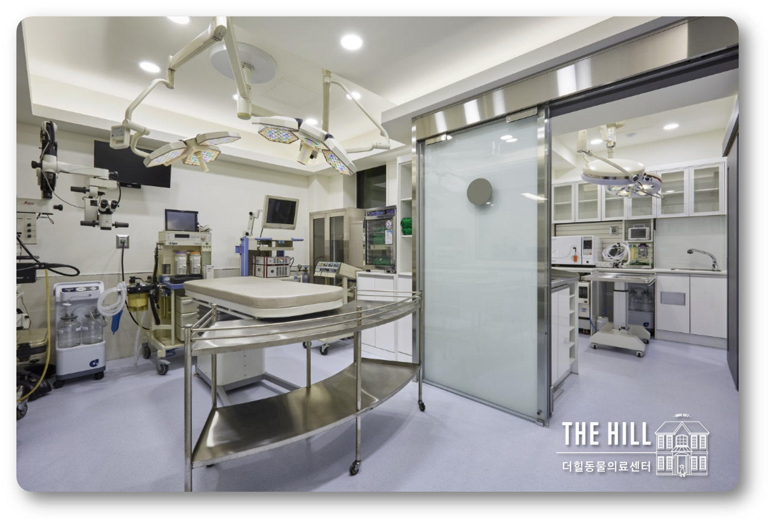 더힐동물의료센터 대표 이미지