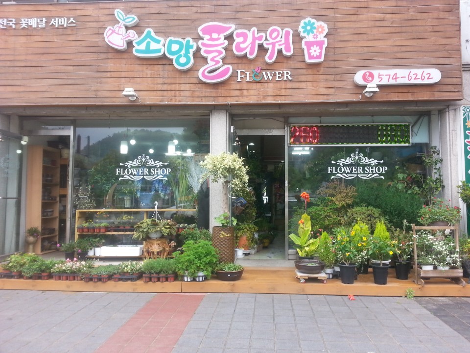 소망플라워