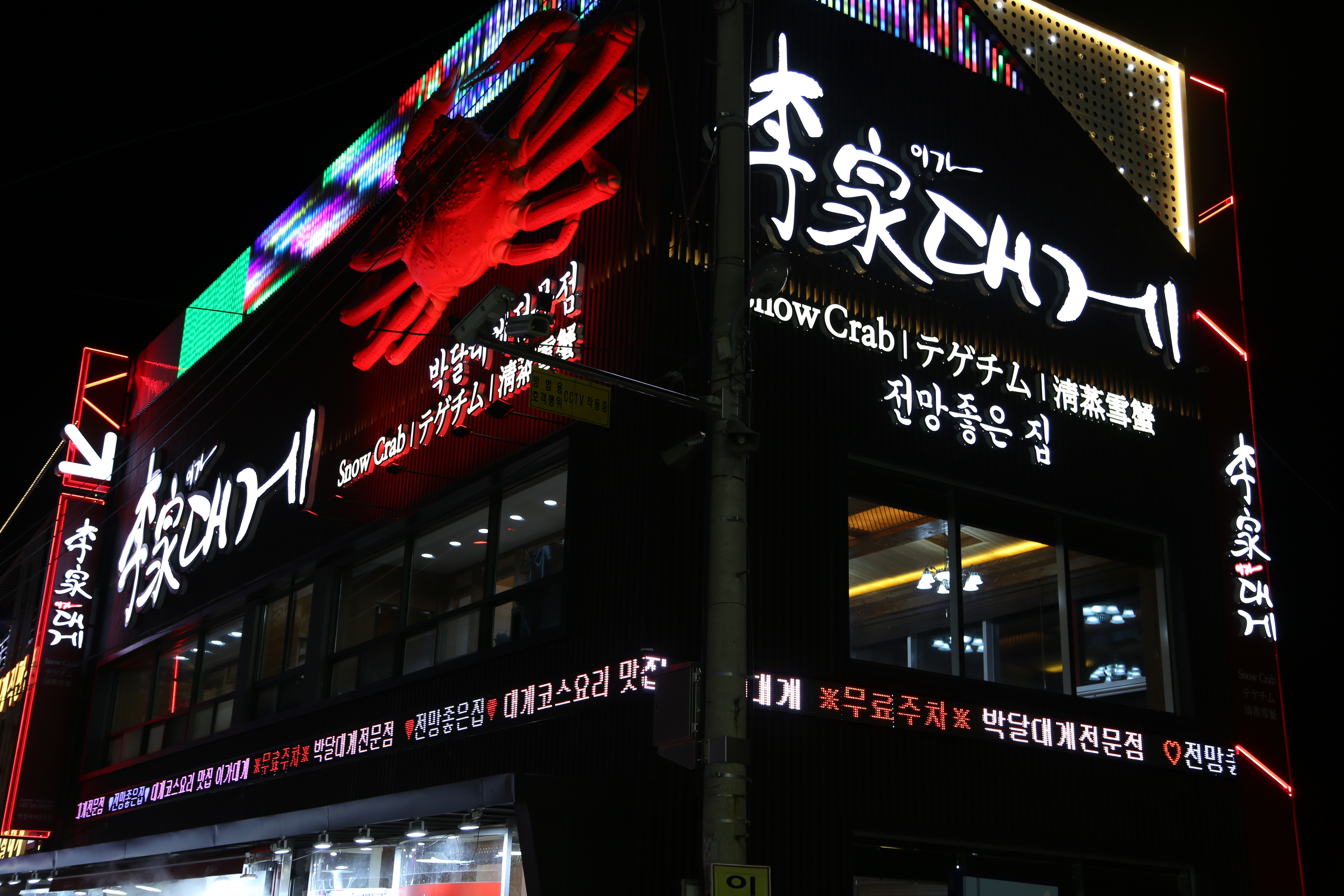 이가대게 이미지