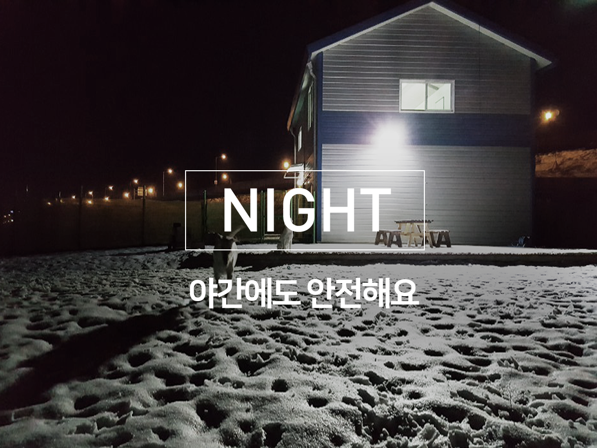 망토두른강아지 대표 이미지