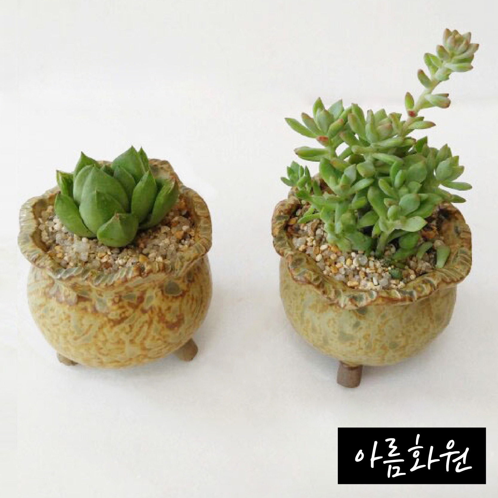 아름화원