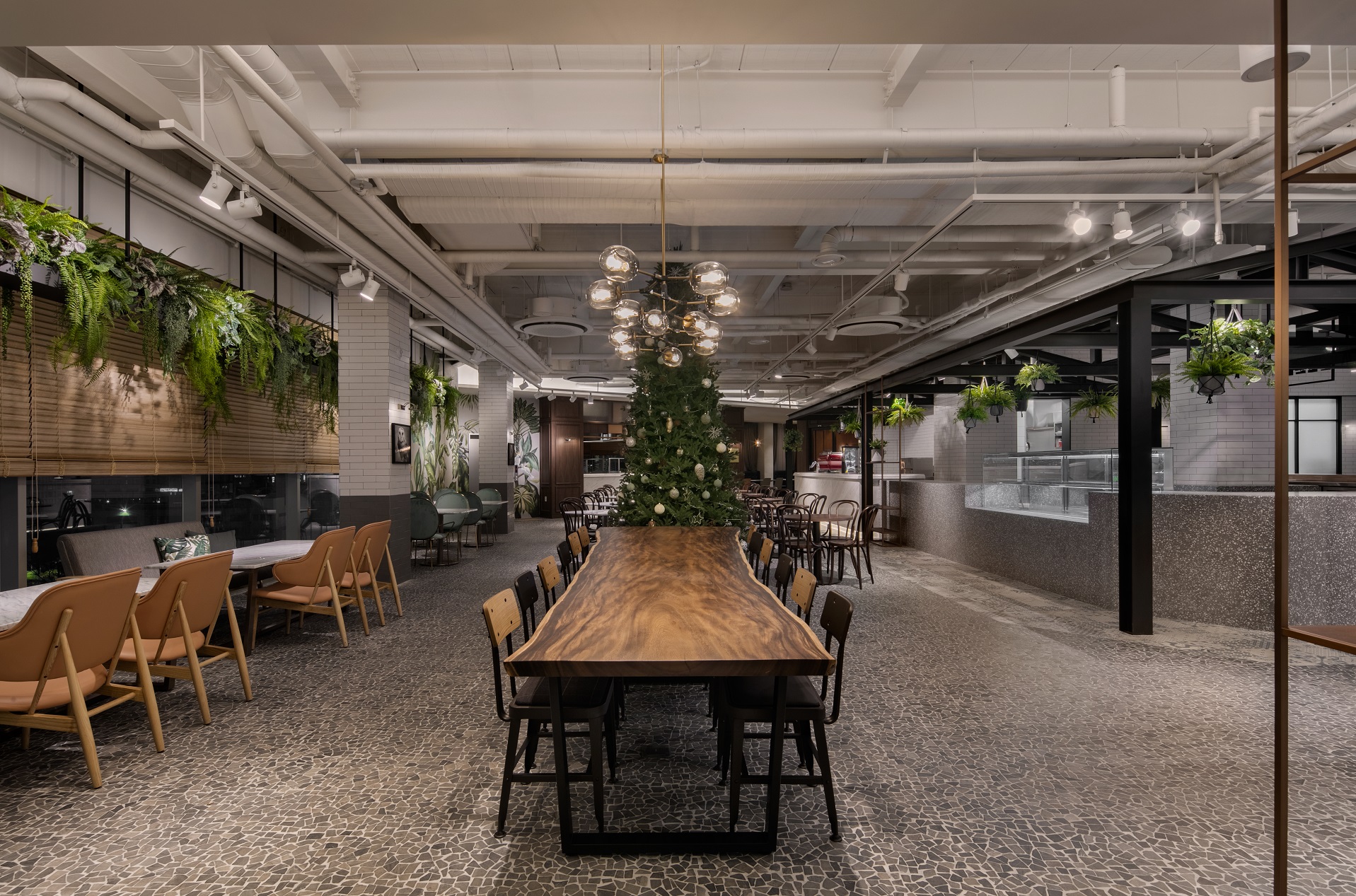 D CAFE 동대문점