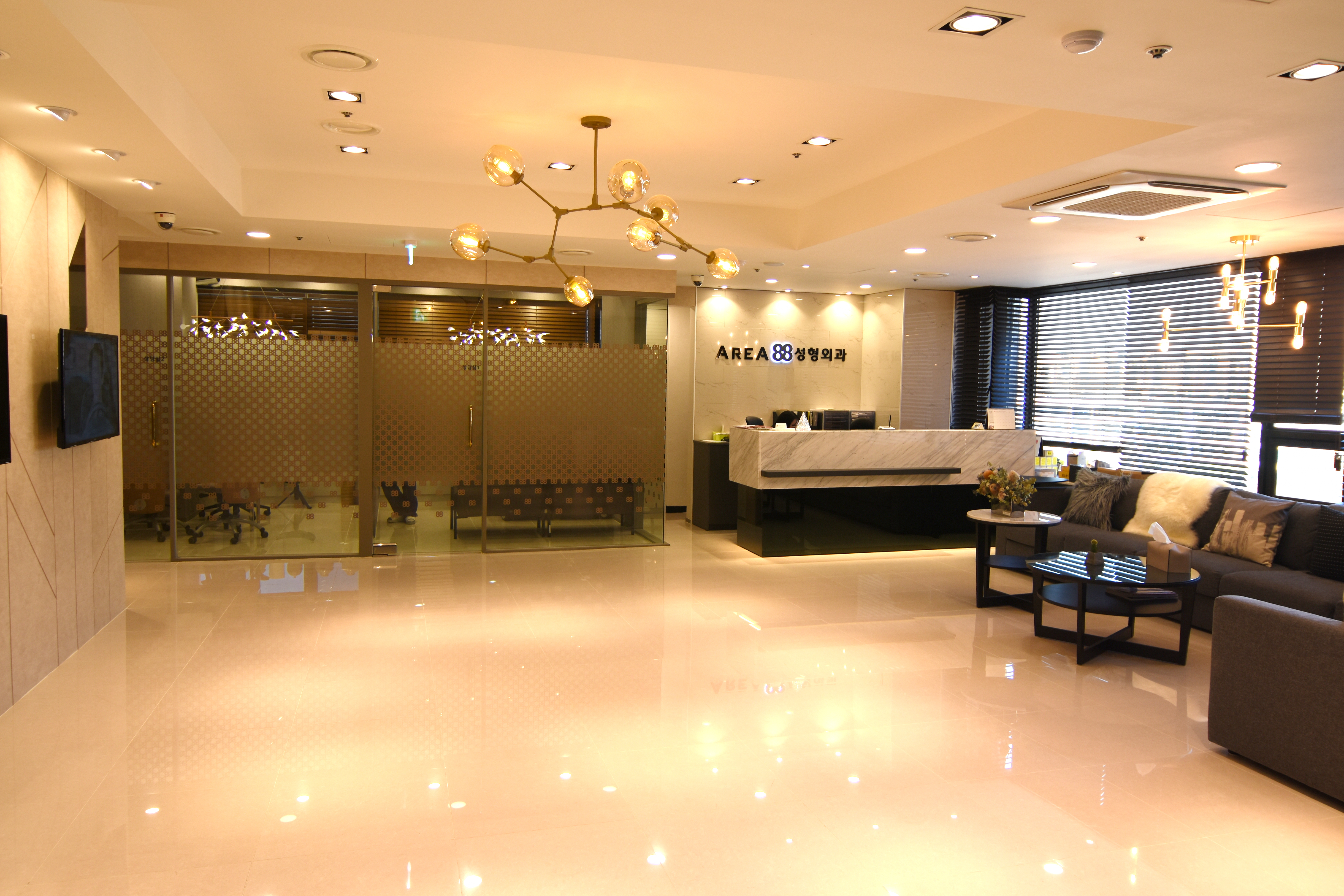 에어리어88성형외과의원 대표 이미지