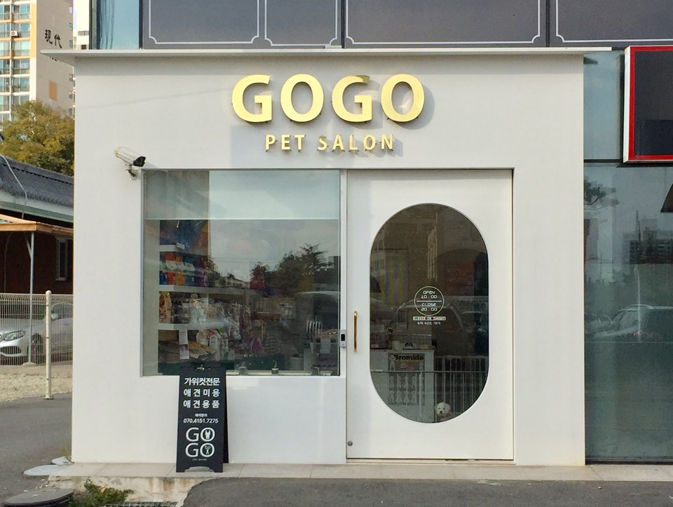 고고펫살롱
