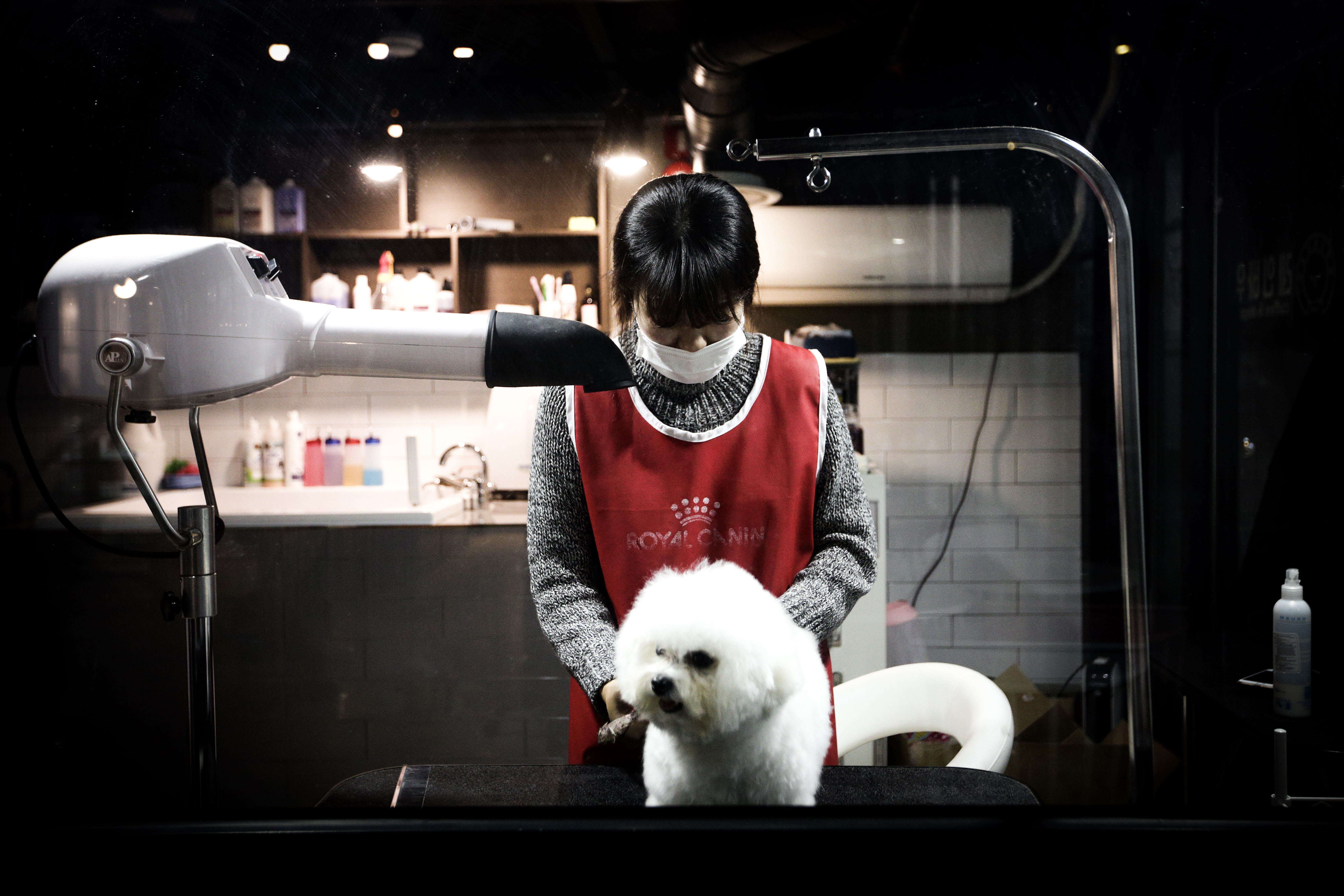 레인바우 세종점 5
