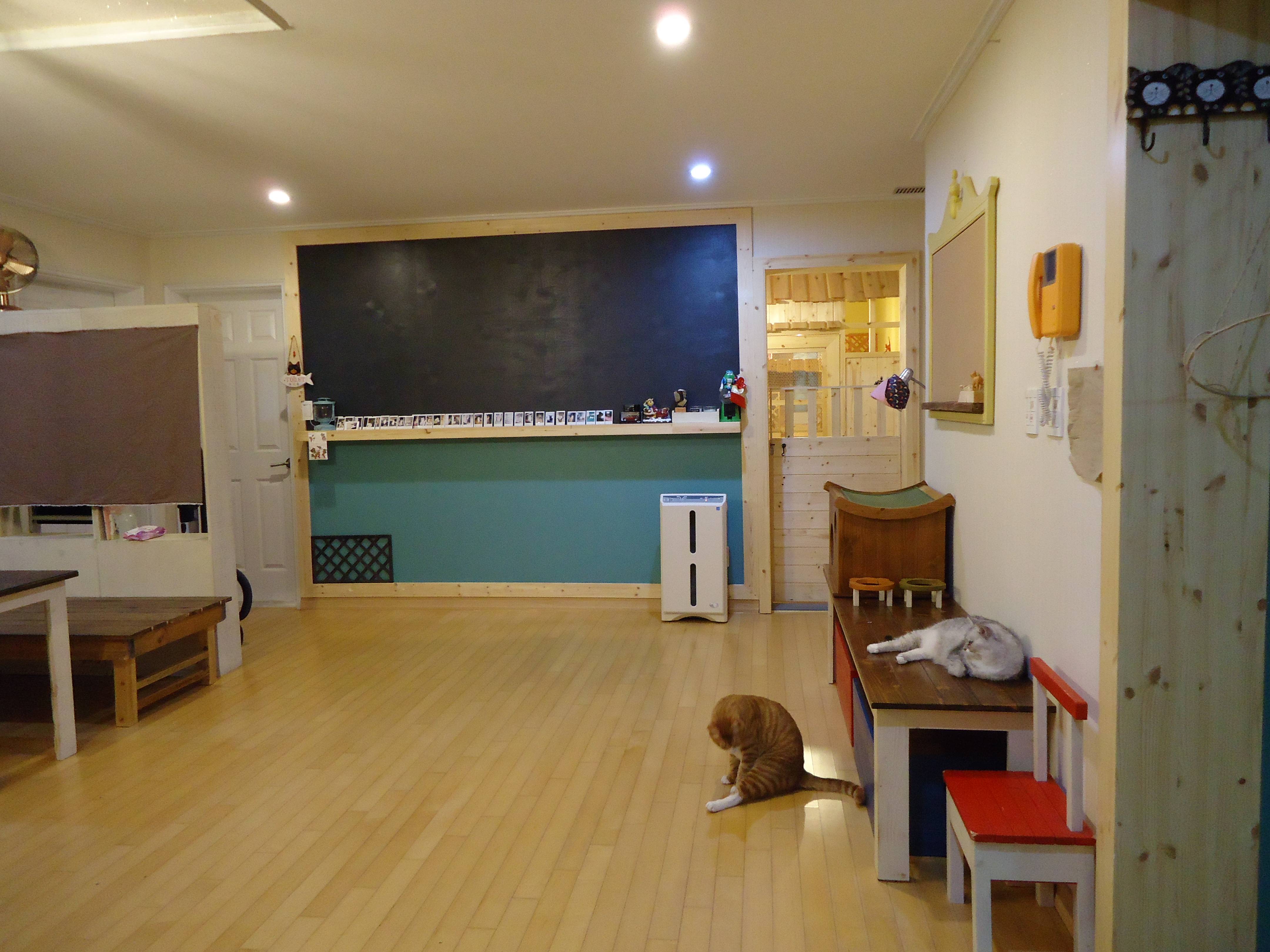 고양이정원 대표 이미지