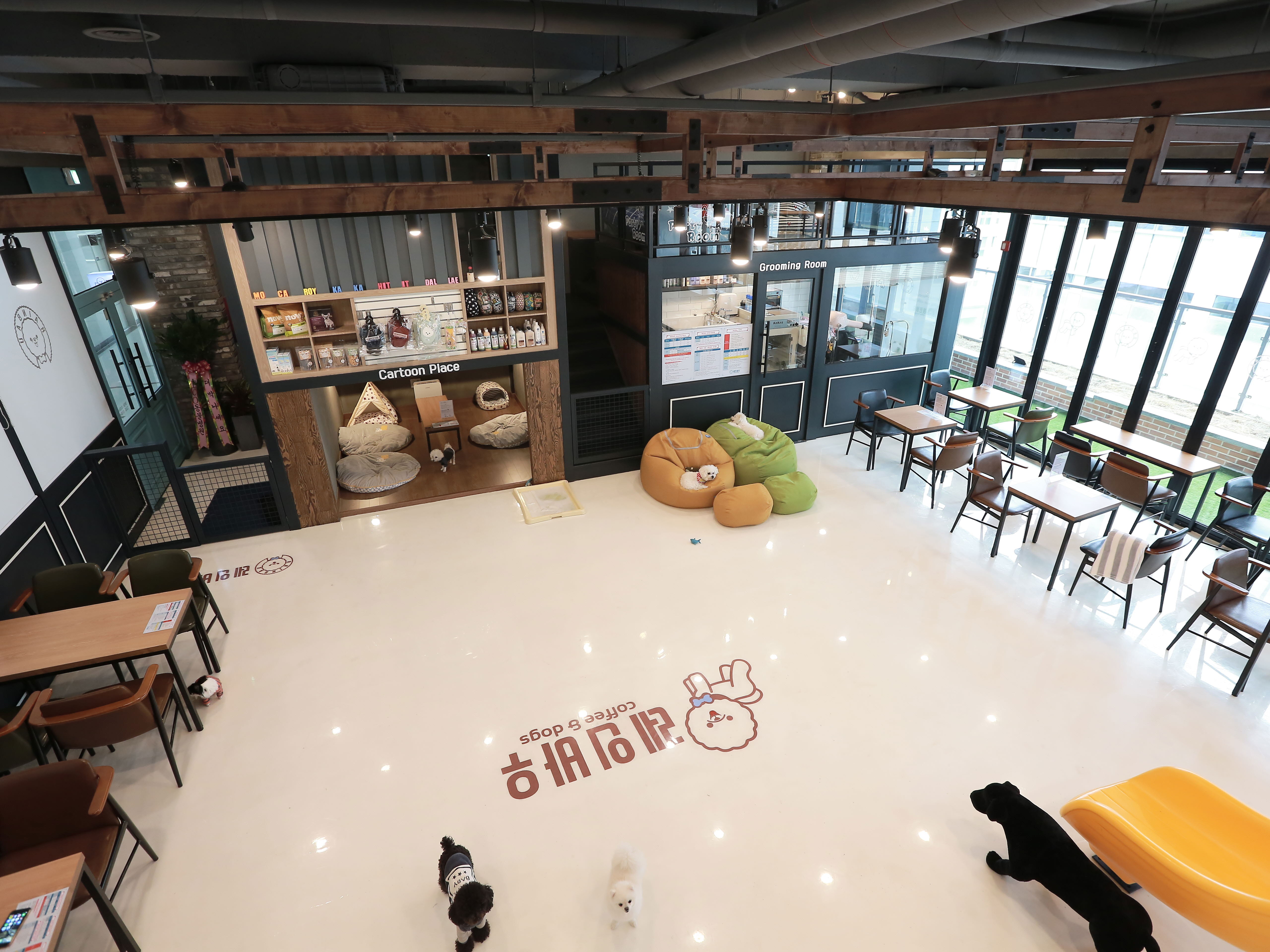 레인바우 세종점 충청 애견카페