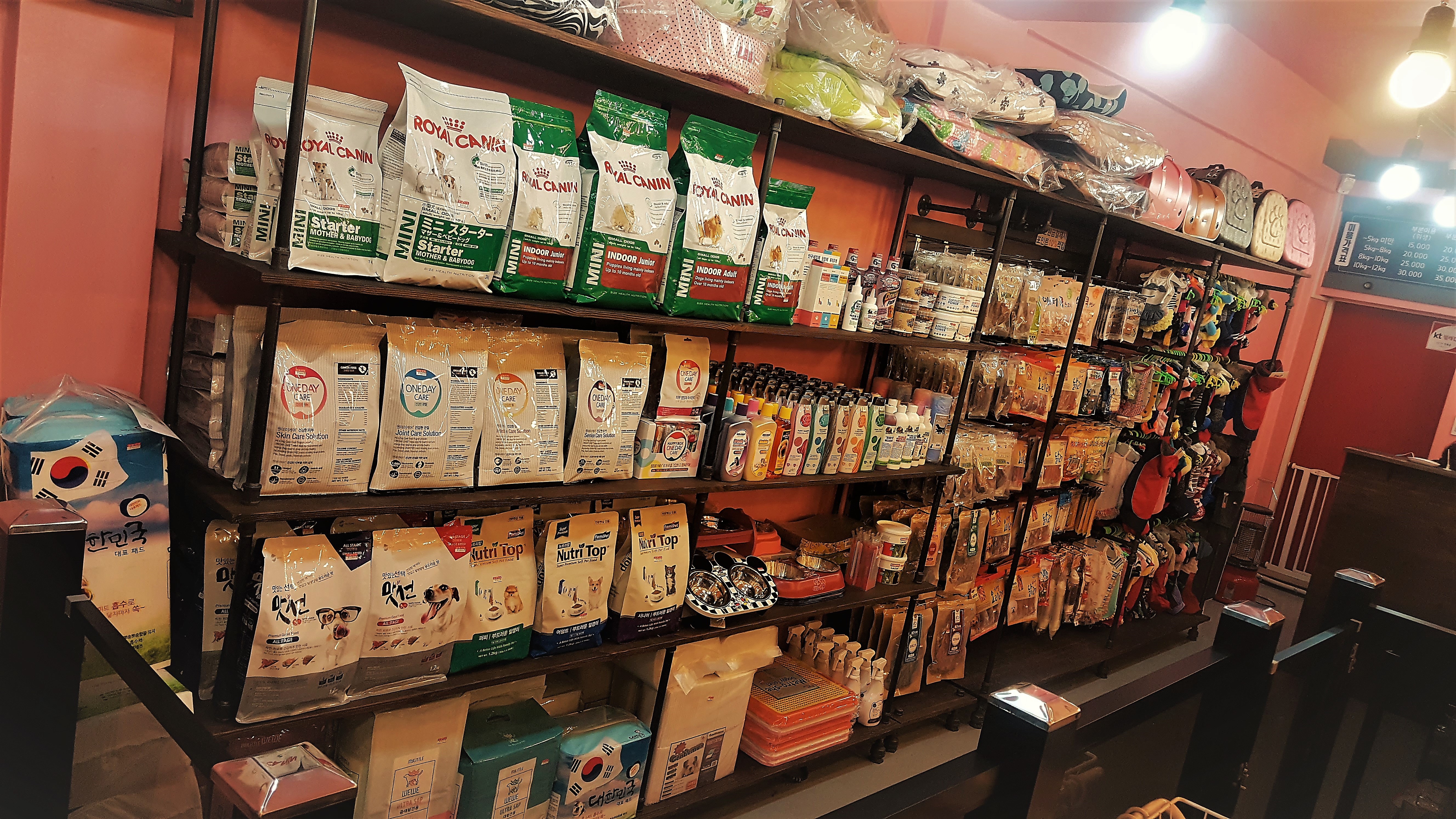 애견멀티샵 대표 이미지