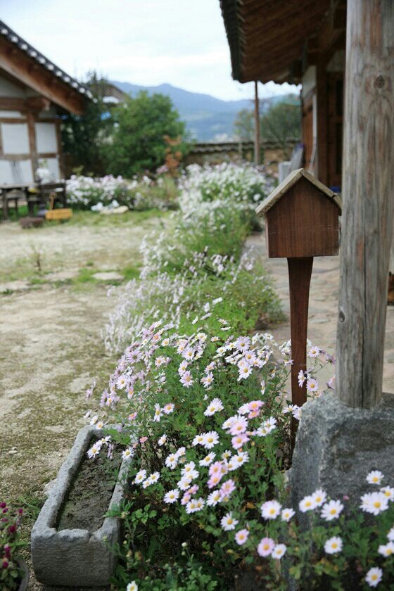 무우루 대표 이미지