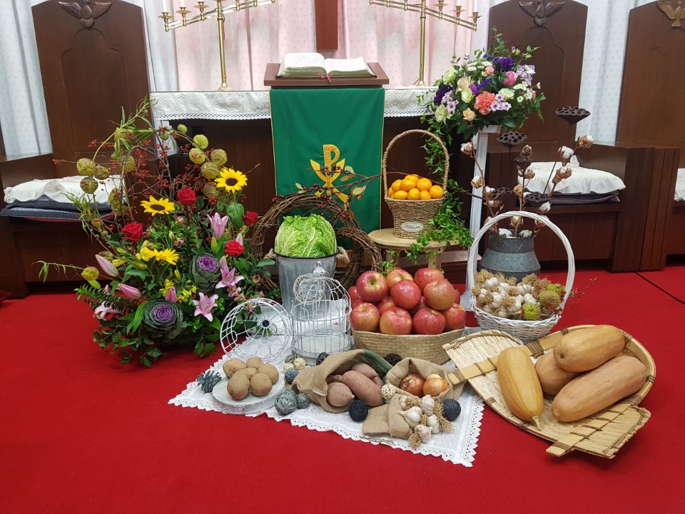 꽃닮 꽃집