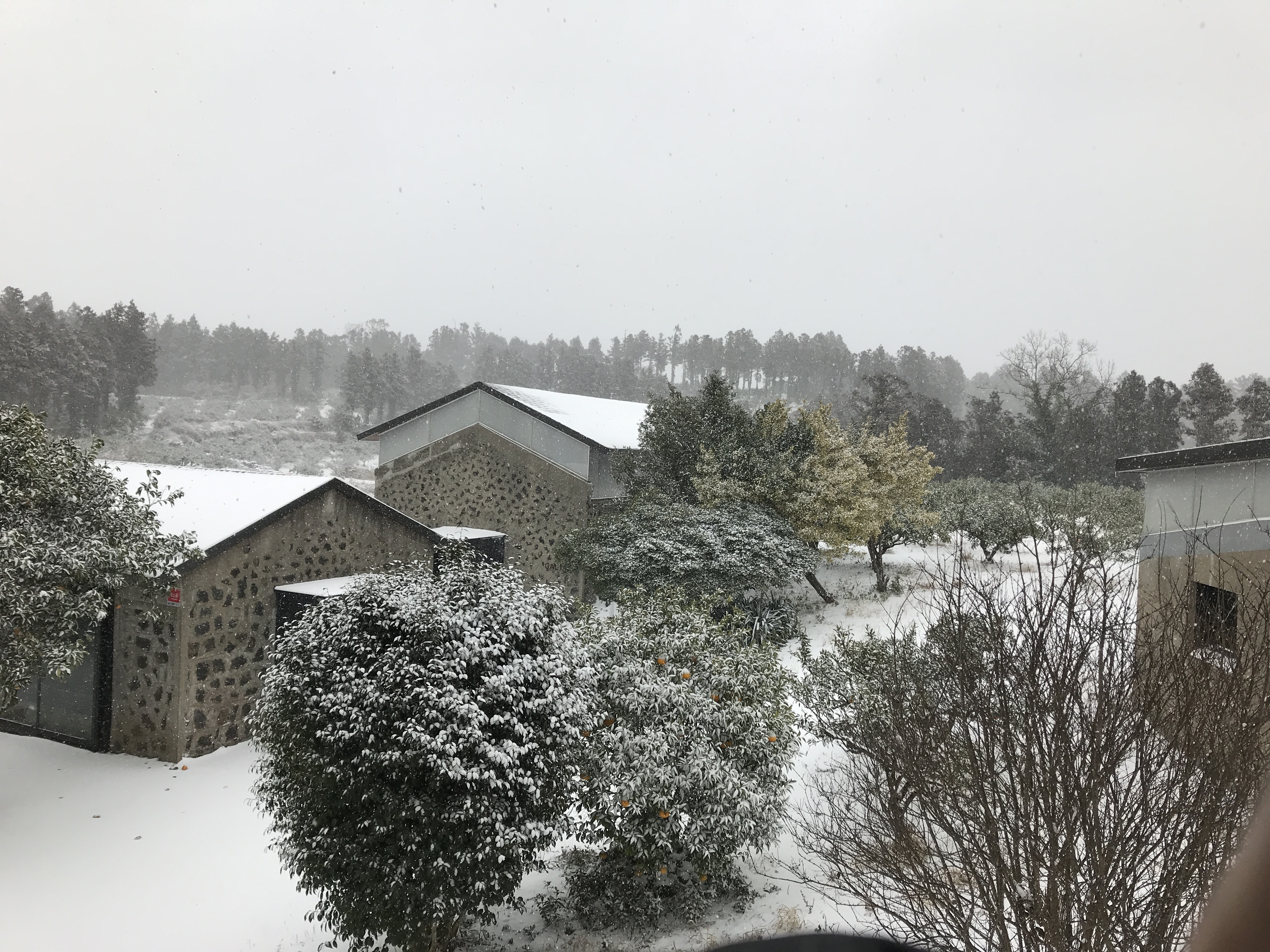 커피템플 대표 이미지