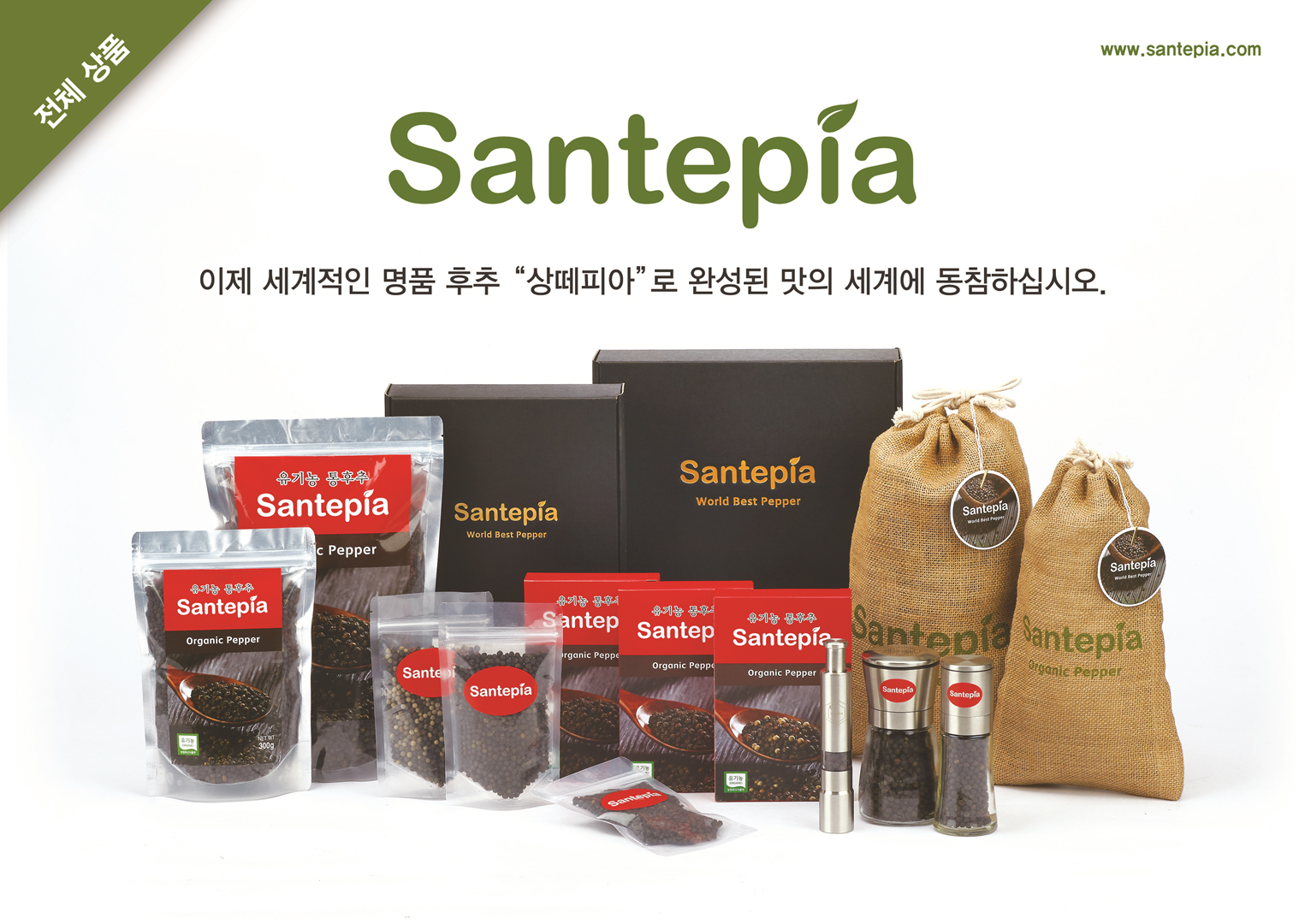 앤스쌍떼