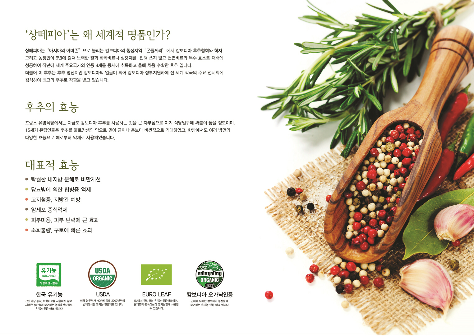 앤스쌍떼