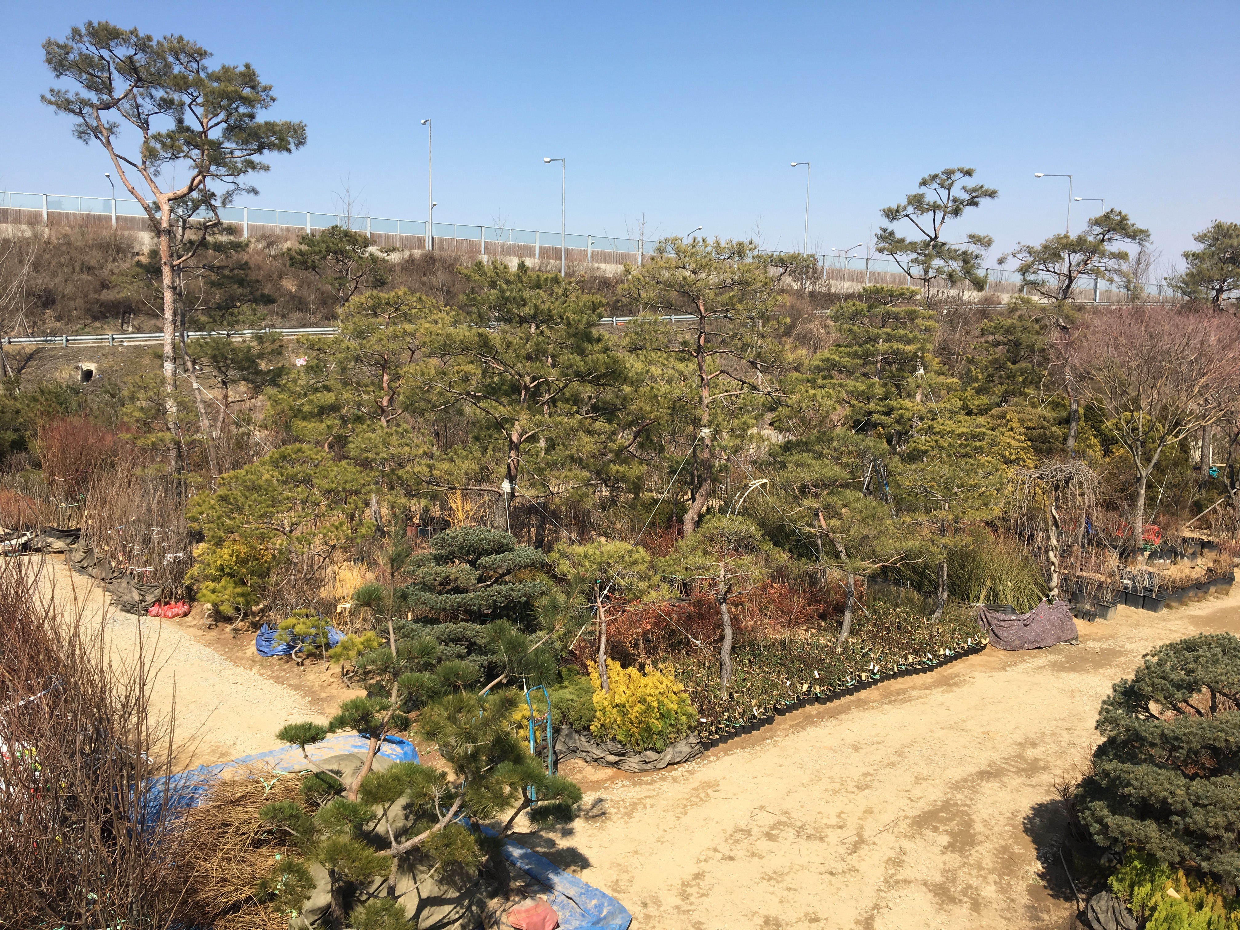 늘푸른조경