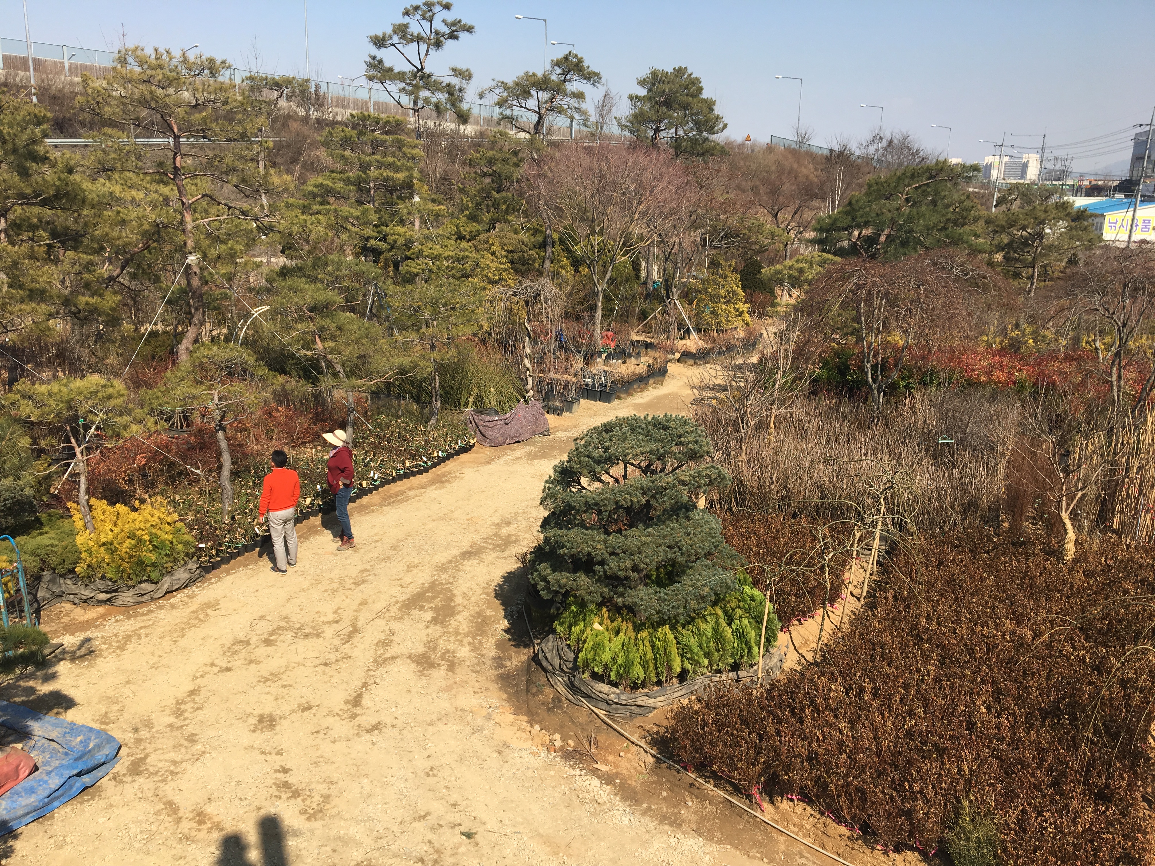늘푸른조경