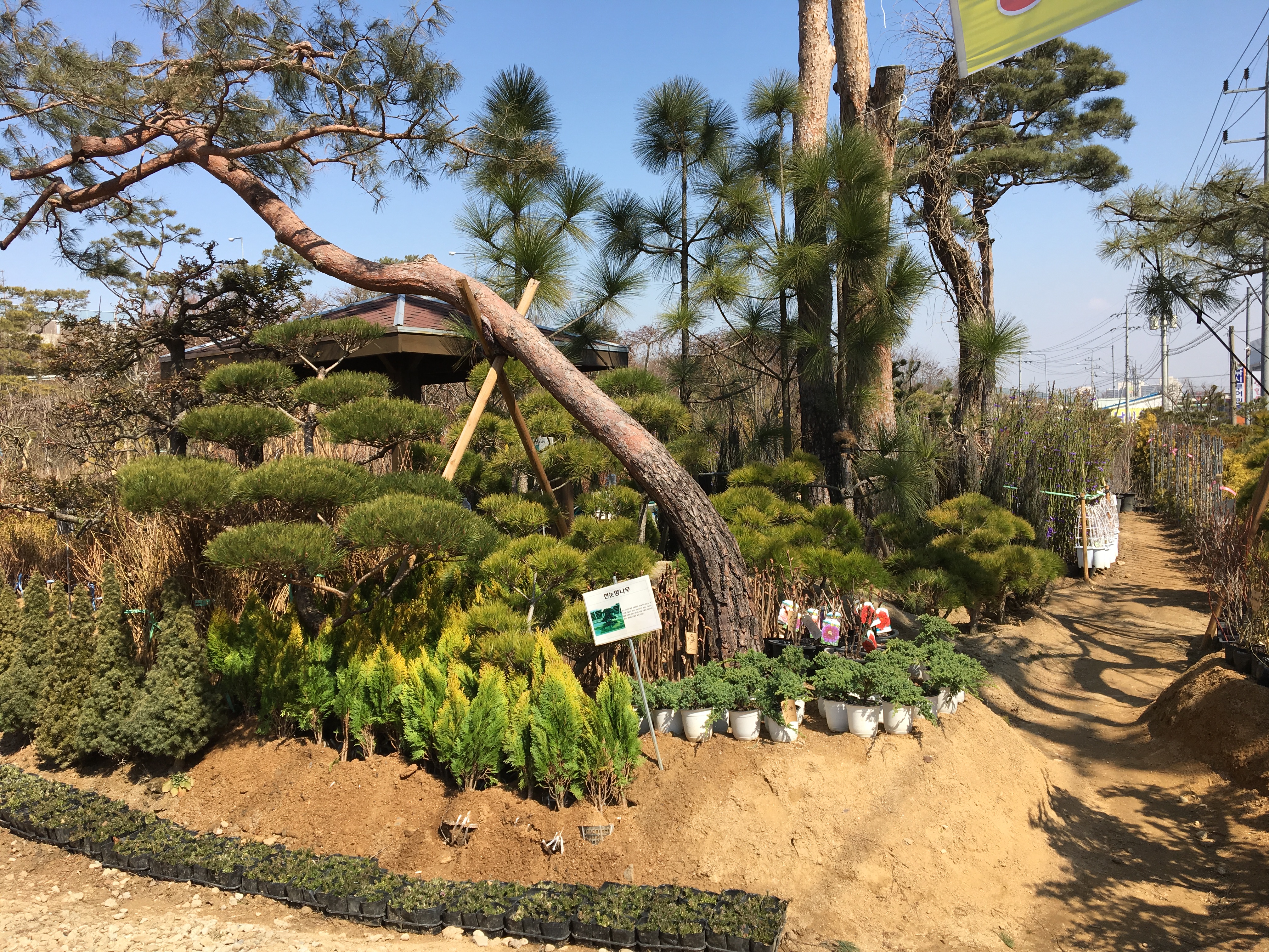 늘푸른조경