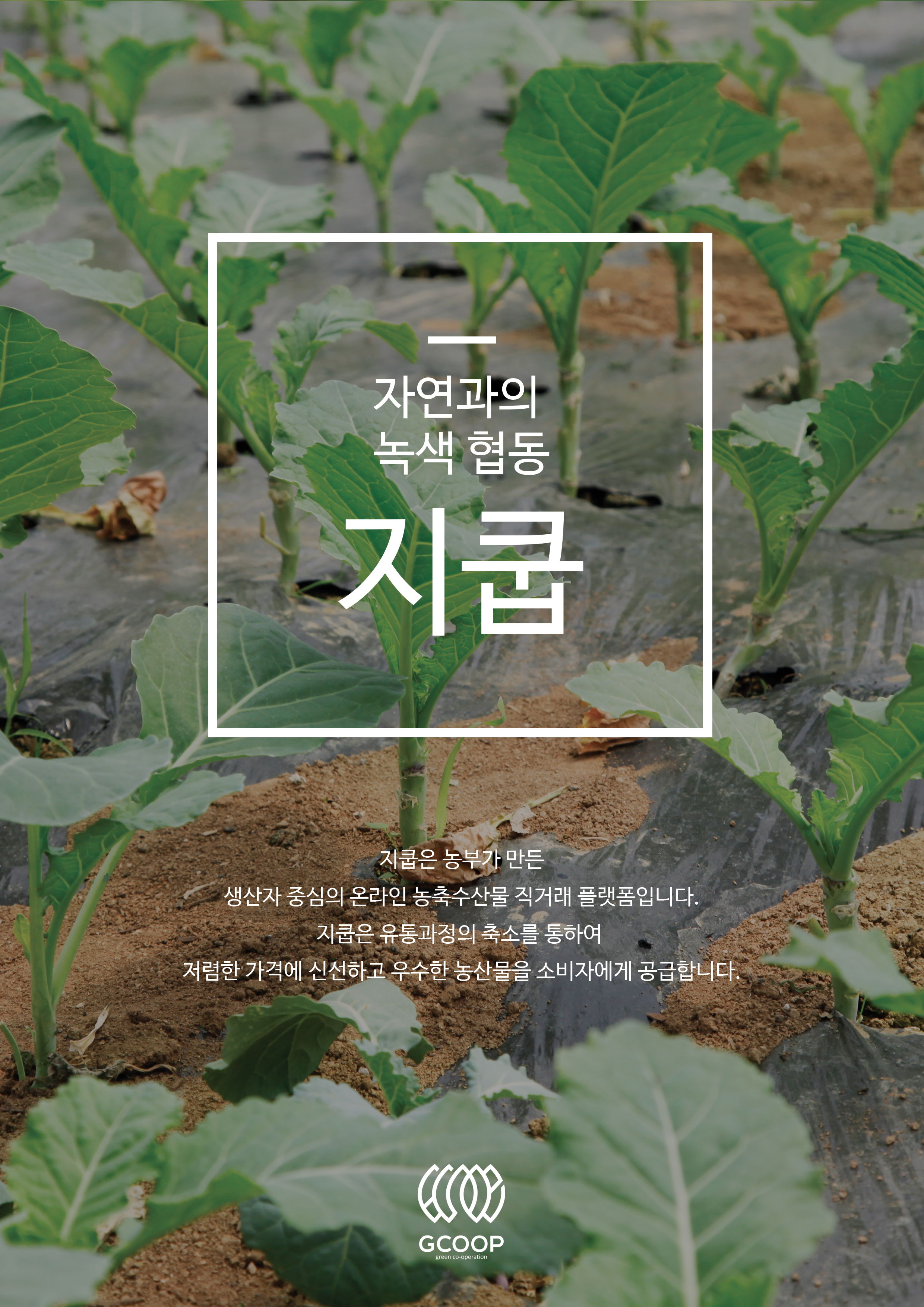 농업회사법인 지쿱