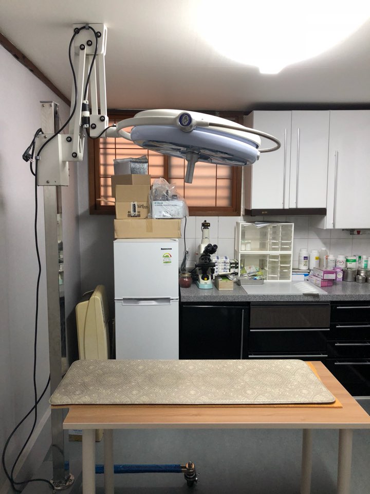 가든펫동물병원 대표 이미지