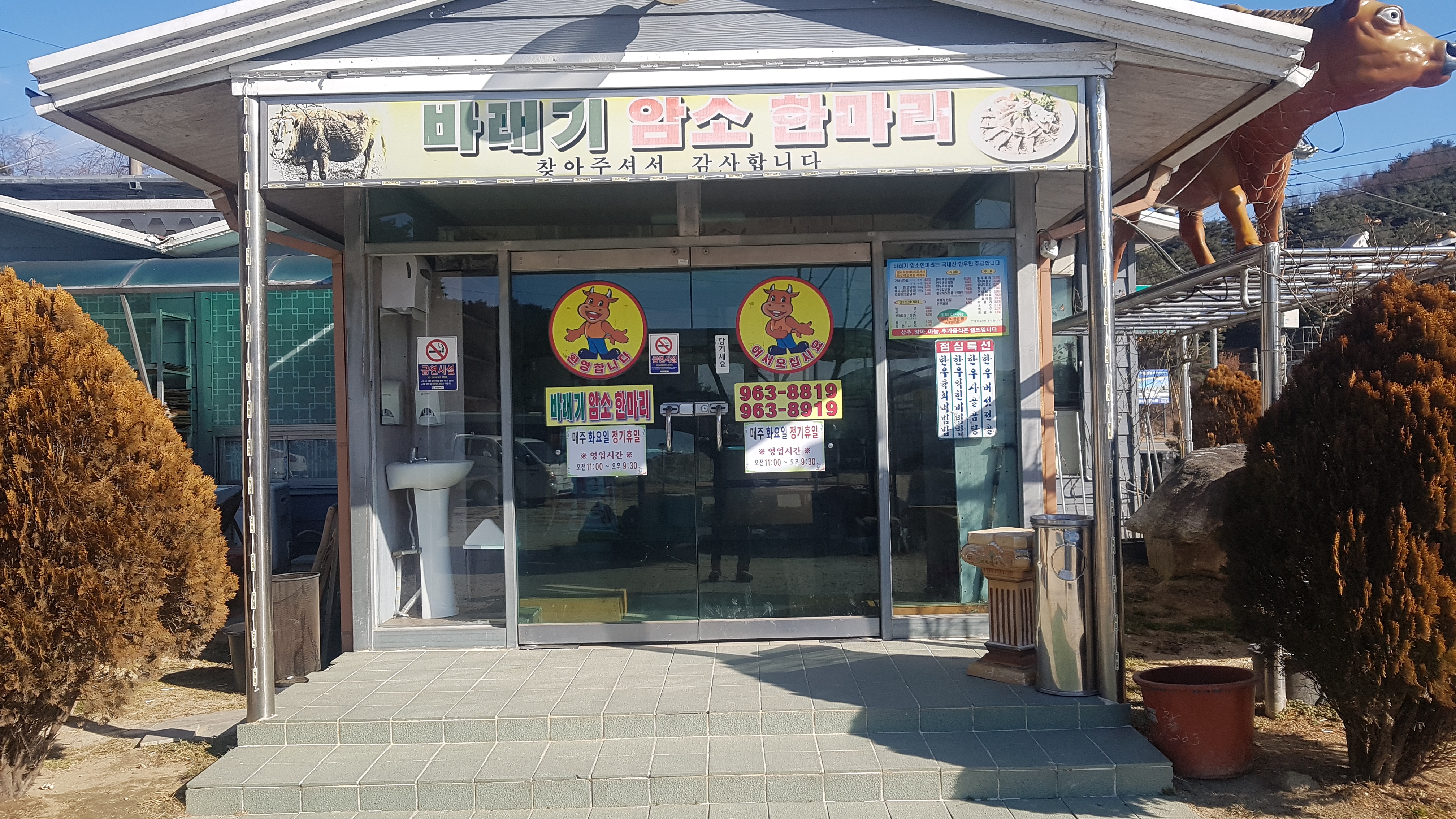 바래기암소한마리