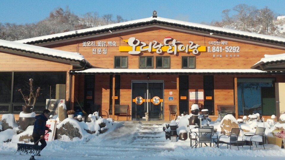 오리랑닭이랑