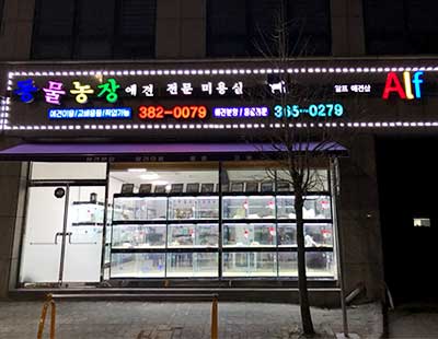 동물농장