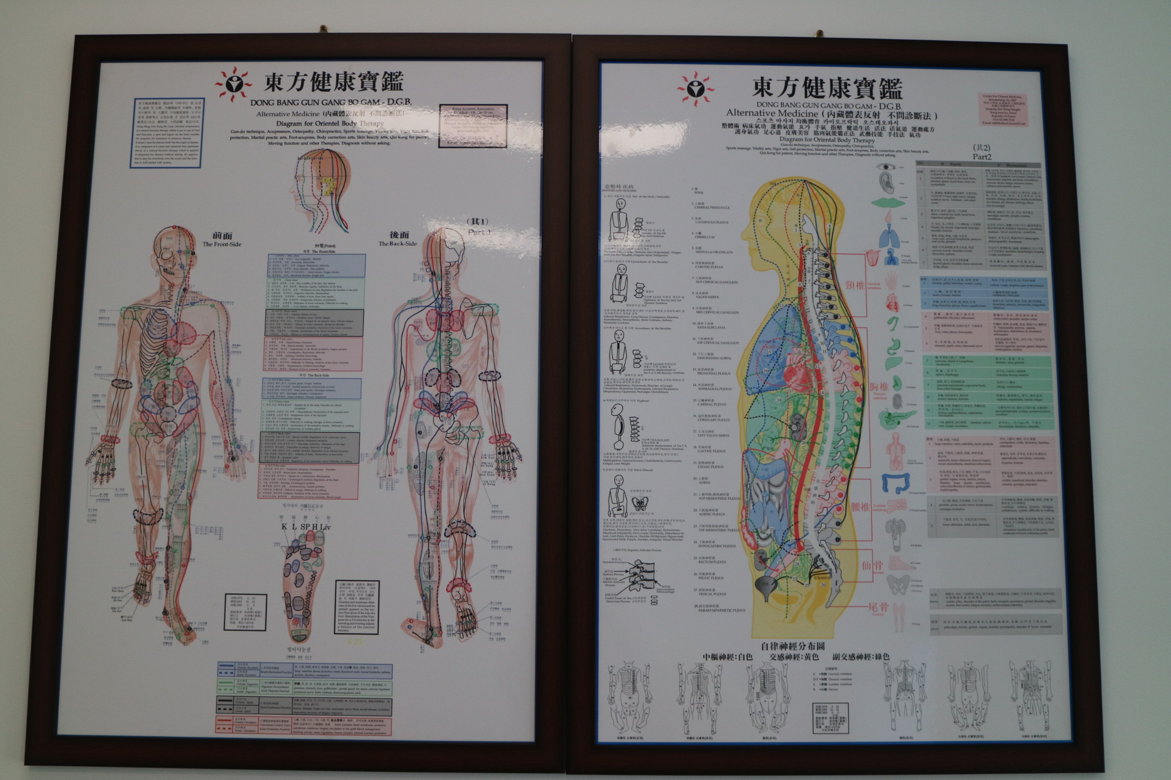 도수명가 photo 4