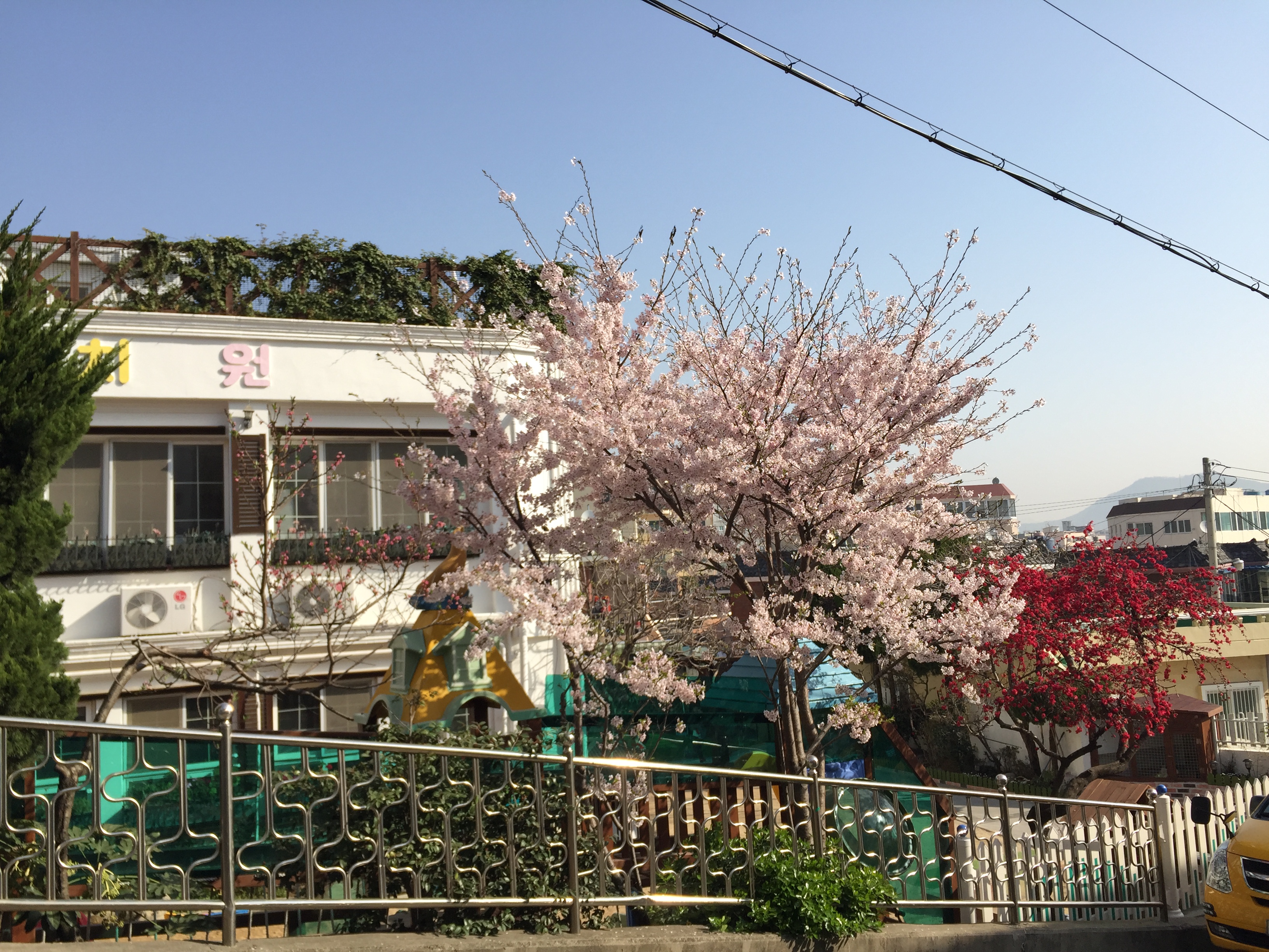 여고유치원