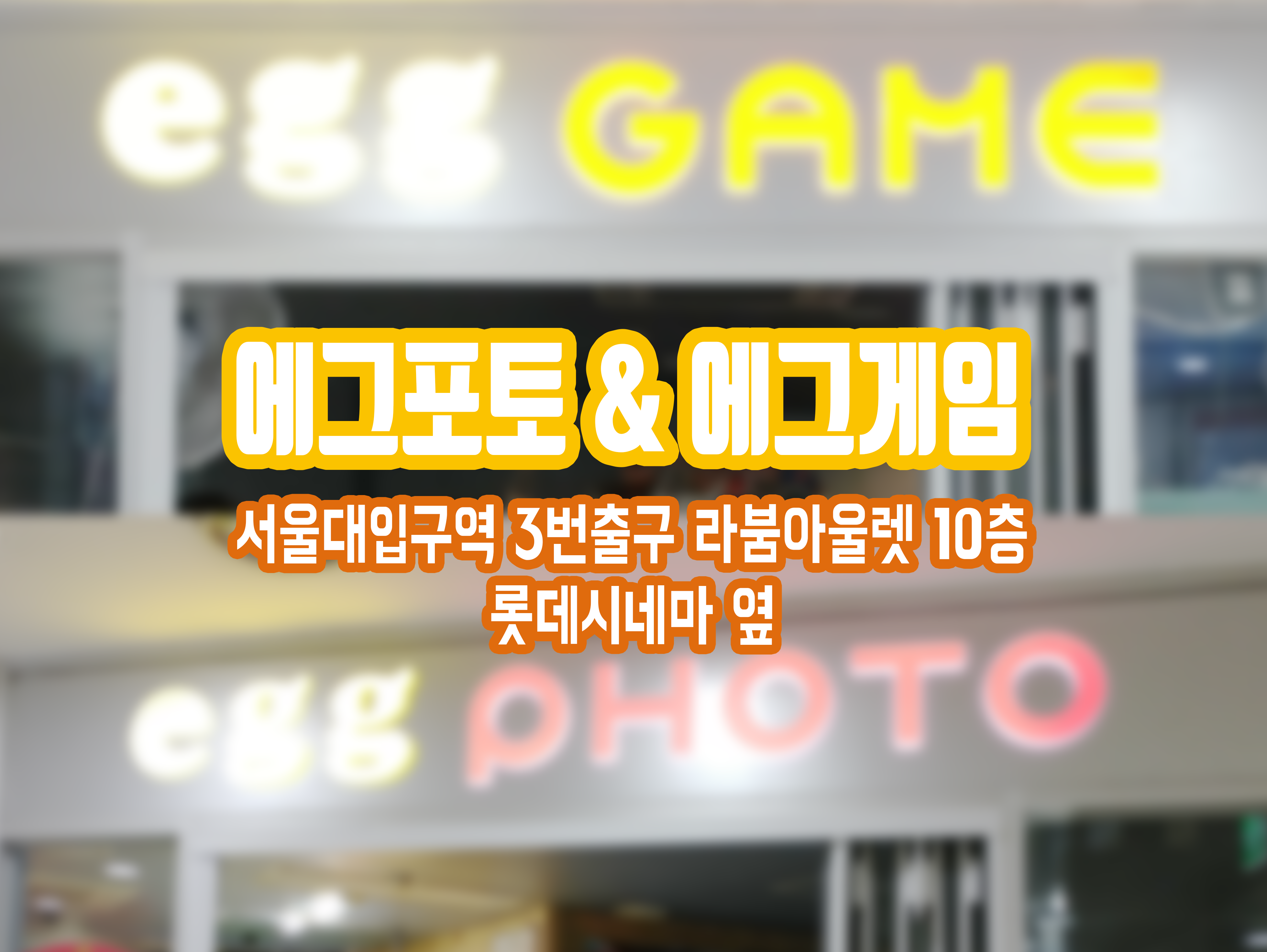 에그게임장
