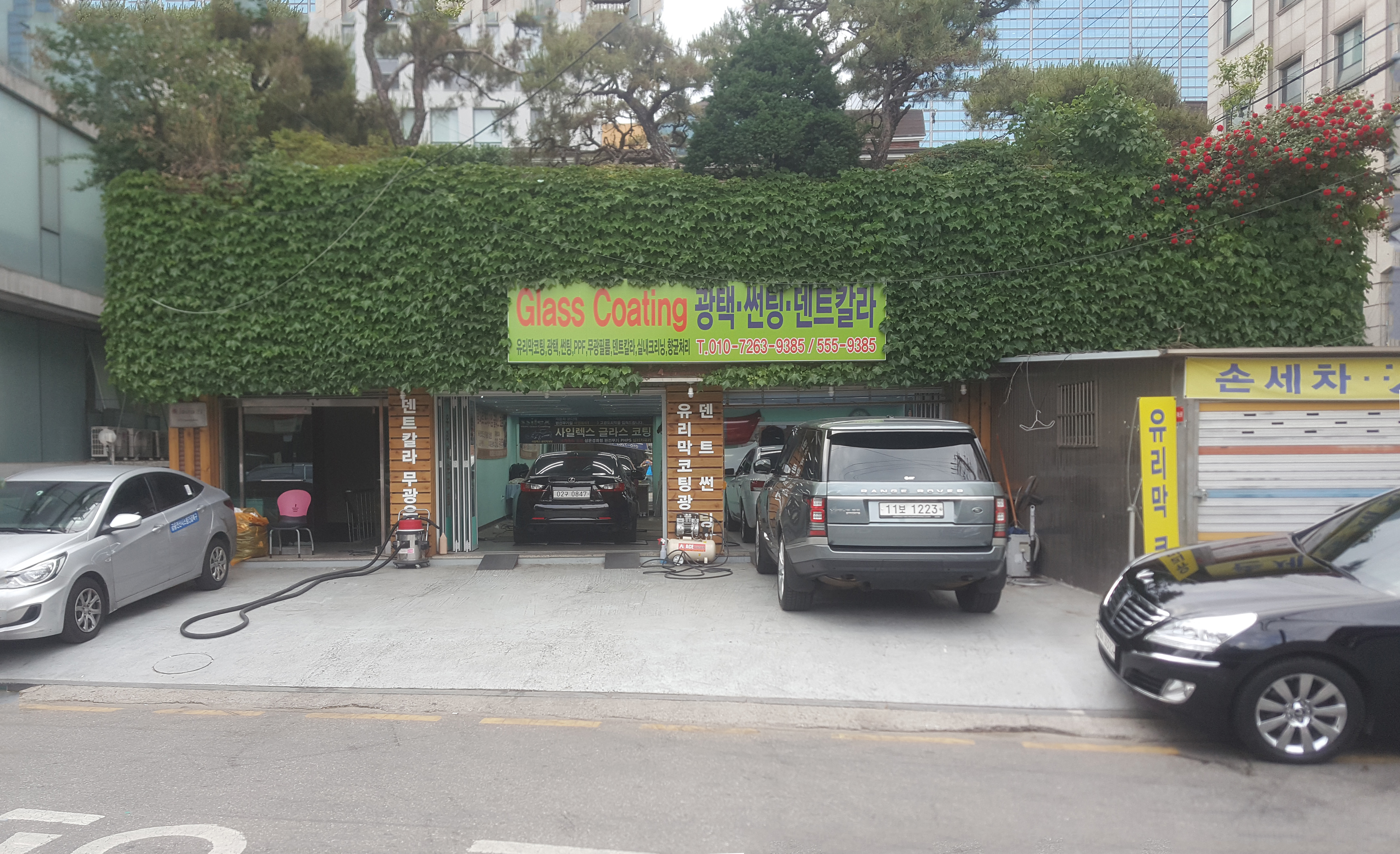 세계광택